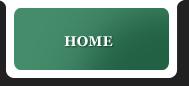 home button